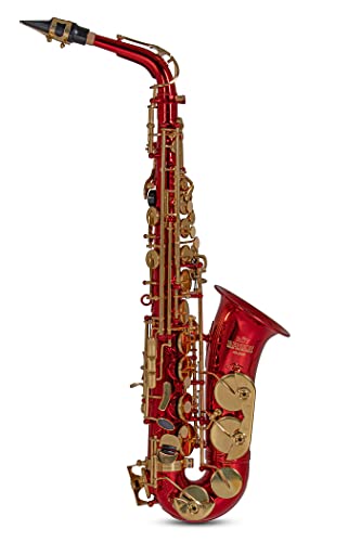 Roy Benson Eb-Alt Saxophon AS-202R (Premium Messing-Korpus & Hoch F#-Klappe, inkl. Mundstück, Putztuch & Tragegurt, im leicht transportierbaren Rechtecketui, mit praktischer Rucksackgarnitur), rot von Roy Benson