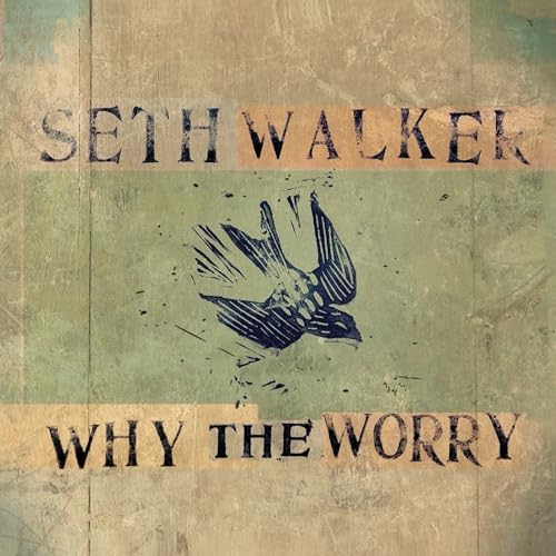 Why the Worry [Vinyl LP] von Royal Potato (H'Art)