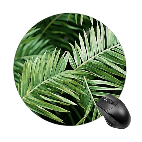 Mauspad mit Palmenblättern, kleines Mauspad mit rutschfester Gummiunterseite, bequemes Laptop-Mauspad, rund, wasserdicht, Mauspad für Büro, Zuhause, Computer, 20 x 20 cm Mauspad mit Palmenblättern, kleines Mauspad mit rutschfester Gummiunterseite, bequemes Laptop-Mauspad, rund, wasserdicht, Mauspad für Büro, Zuhause, Computer, 20 x 20 cm von Rrtsmsgh