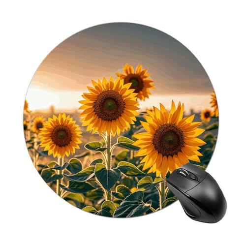 Mauspad mit Sonnenblumen im Unkraut, kleines Mauspad mit rutschfester Gummiunterseite, bequemes Laptop-Mauspad, rund, wasserdicht, Mauspad für Büro, Zuhause, Computer, 20 x 20 cm Mauspad mit Sonnenblumen im Unkraut, kleines Mauspad mit rutschfester Gummiunterseite, bequemes Laptop-Mauspad, rund, wasserdicht, Mauspad für Büro, Zuhause, Computer, 20 x 20 cm von Rrtsmsgh