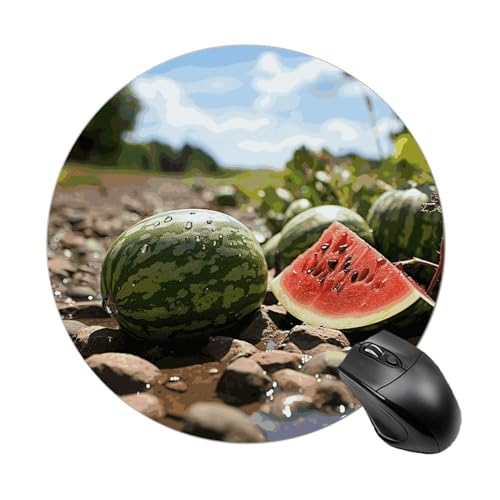 Mauspad mit Wassermelone auf dem Boden, kleines Mauspad mit rutschfester Gummiunterseite, bequemes Laptop-Mauspad, rund, wasserdicht, Mauspad für Büro, Zuhause, Computer, 20 x 20 cm Mauspad mit Wassermelone auf dem Boden, kleines Mauspad mit rutschfester Gummiunterseite, bequemes Laptop-Mauspad, rund, wasserdicht, Mauspad für Büro, Zuhause, Computer, 20 x 20 cm von Rrtsmsgh