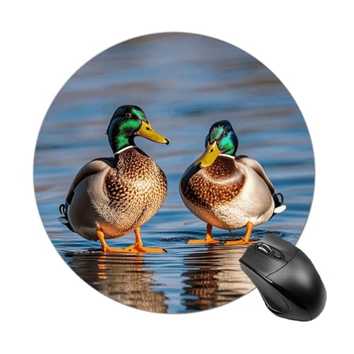 Mauspad mit zwei Stockenten, kleines Mauspad mit rutschfester Gummiunterseite, bequemes Laptop-Mauspad, rund, wasserdicht, für Büro, Zuhause, Computer, 20 x 20 cm Mauspad mit zwei Stockenten, kleines Mauspad mit rutschfester Gummiunterseite, bequemes Laptop-Mauspad, rund, wasserdicht, für Büro, Zuhause, Computer, 20 x 20 cm von Rrtsmsgh