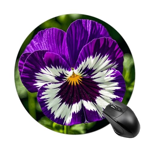 Pansy Perfection Mauspad, kleines Mauspad mit rutschfester Gummiunterseite, bequemes Laptop-Mauspad, rund, wasserdicht, Mauspad für Büro, Zuhause, Computer, 20 x 20 cm Pansy Perfection Mauspad, kleines Mauspad mit rutschfester Gummiunterseite, bequemes Laptop-Mauspad, rund, wasserdicht, Mauspad für Büro, Zuhause, Computer, 20 x 20 cm von Rrtsmsgh