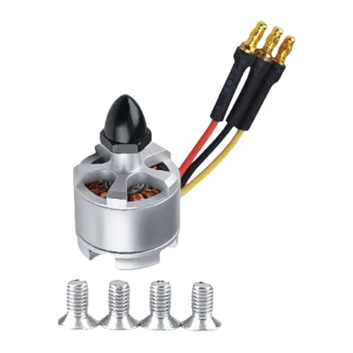 Leistungsstarker B2212 920 KV Bürstenloser Motor Ideal Für Drohnenbauer Und Modellflugzeuge Mit Lang Anhaltender Metallkonstruktion von Rudiaoa