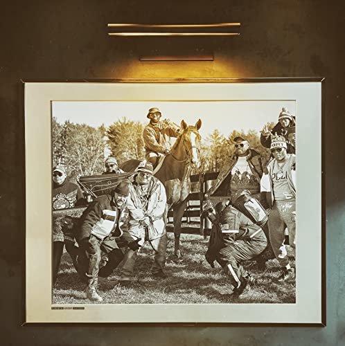 Straight from the Horse'S Mouth [Vinyl LP] von MVD