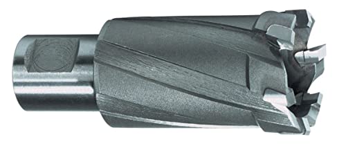 RUKO 108722 - Broca hueca dientes metal duro vástago Weldon (22 mm) von Ruko