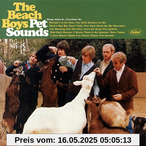 Pet Sounds von Rumpelstil