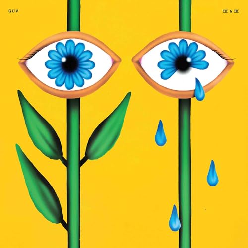 Guv III & IV [Vinyl LP] von Run For Cover Records
