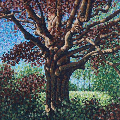 Songs for The Willow-Vinyle Transparent Songs for The Willow-Vinyle Transparent von Run For Cover Records