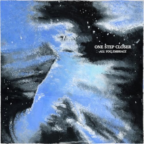 All You Embrace (Blue Glitter Vinyl) [Vinyl LP] von Run for Cover / Cargo