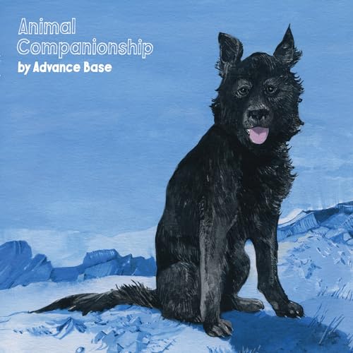 Animal Companionship (Clear Vinyl) [Vinyl LP] von Run for Cover / Cargo