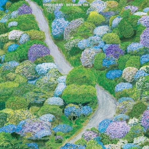 Between the Richness (Violet Vinyl) [Vinyl LP] von Run for Cover / Cargo