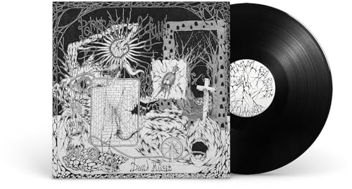 Devil Music [Vinyl LP] von Run for Cover / Cargo