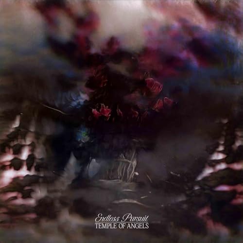Endless Pursuit (Cloudy Clear Vinyl) [Vinyl LP] von RUN FOR COVER
