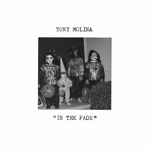 In the Fade (Gold Vinyl) [Vinyl LP] von Run for Cover / Cargo