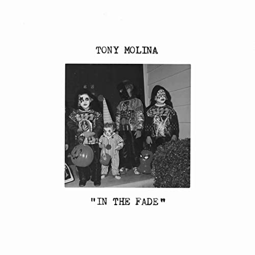 In the Fade [Vinyl LP] von Run for Cover / Cargo