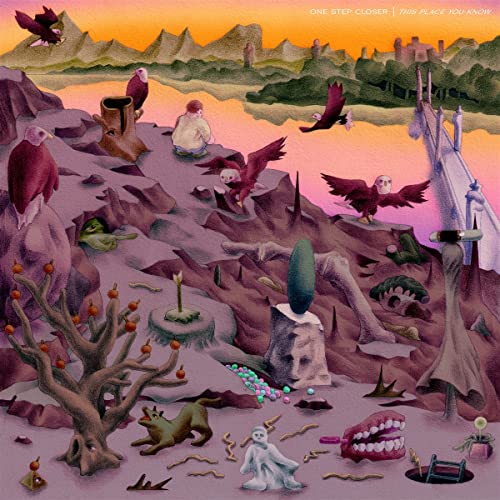 This Place You Know (Ltd.Cloudy Pink Vinyl) [Vinyl LP] von Run for Cover / Cargo