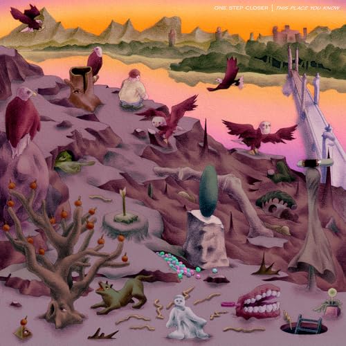 This Place You Know (Ltd.Cloudy Pink Vinyl) [Vinyl LP] von Run for Cover / Cargo