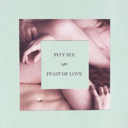 Feast Of Love [Musikkassette] von Run for Cover