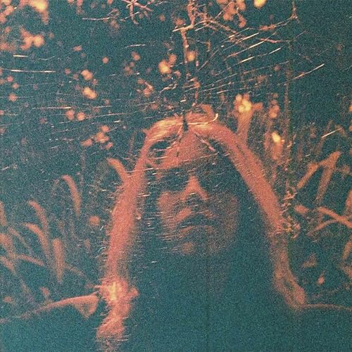 Peripheral Vision (Ltd.Clear Orange Vinyl) [Vinyl LP] von Run for Cover