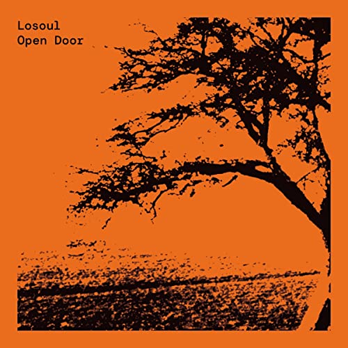 Open Door (Remastered & Expanded 2x12") [Vinyl Maxi-Single] von Running Back Double Copy