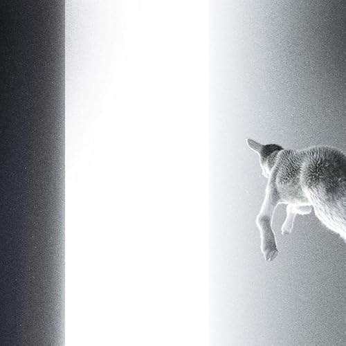 Keep Looking Where the Light Comes from Keep Looking Where the Light Comes from von Victrola