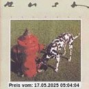 Signals Signals von Rush