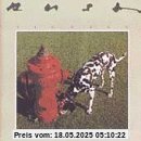 Signals von Rush