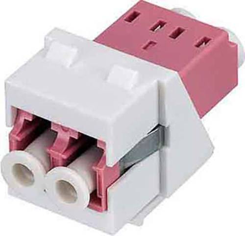 Rutenbeck 228080100 LWL-Modul Violett 1St. Rutenbeck 228080100 LWL-Modul Violett 1St. von Rutenbeck