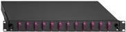 Rutenbeck Basic Line Spleissbox 12xSC-D OM4 erika (2280306120) von Rutenbeck