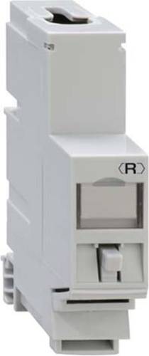 Rutenbeck UM-Cat.6A iso-REG REG-Montageadapter UM-Cat.6A iso A iso-REG 13910200 1St. Rutenbeck UM-Cat.6A iso-REG REG-Montageadapter UM-Cat.6A iso A iso-REG 13910200 1St. von Rutenbeck