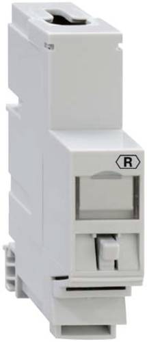Rutenbeck UM-MA REG REG-Montageadapter für Universalmodul UM-MA REG 13900003 1St. von Rutenbeck