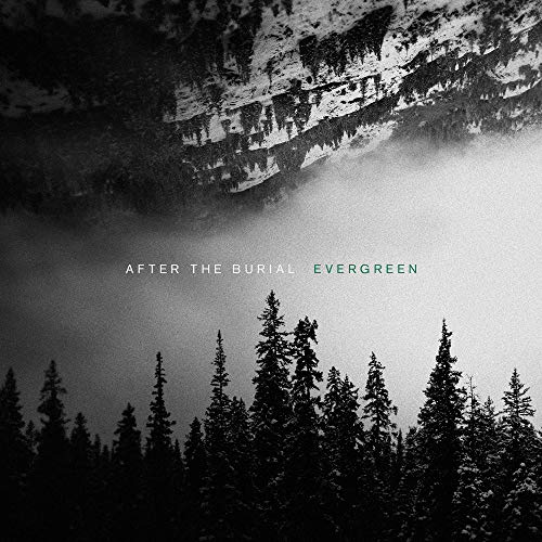 EVERGREEN (LP) [Vinyl LP] von Virgin Music Las (Universal Music)