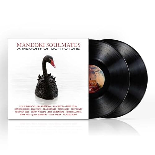 Man Doki Soulmates, Neues Album 2024, A Memory of Our Future, Doppelvinyl, 2LP & LP-Booklet von S o n y M u s i c