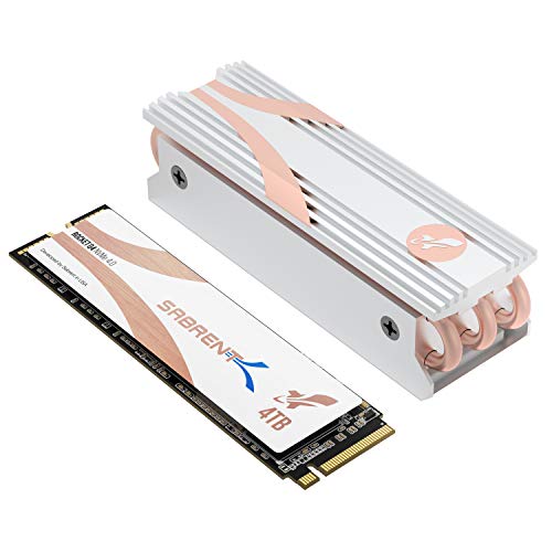 SABRENT M.2 NVMe SSD 4TB mit Kühlkörper Gen4 4900 MB/s Lesen, PCIe 4.0 2280, intern Festplatte kompatibel mit PCs, NUCs Laptops und desktops (SB-RKTQ4-HTSS-4TB) von SABRENT