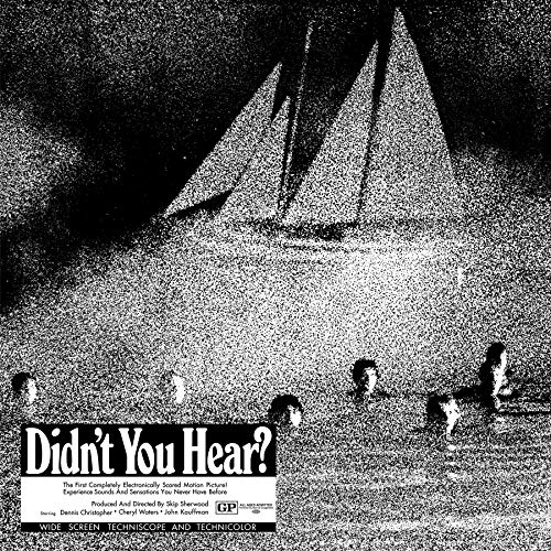 Didn'T You Hear? [Vinyl LP] von SACRED BONES REC