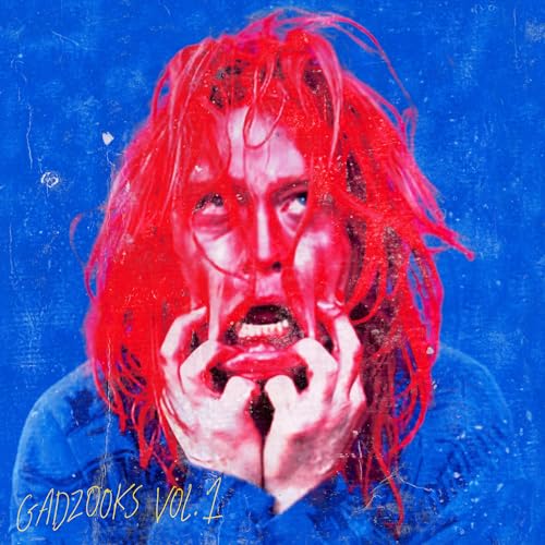 Gadzooks Vol.1 von SACRED BONES REC