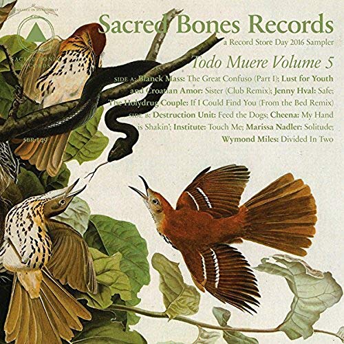TODO MUERE VOL 5 / VARIOUS [Vinyl LP] von SACRED BONES REC
