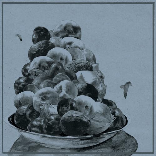 Painted Shut [Vinyl LP] von SADDLE CREEK