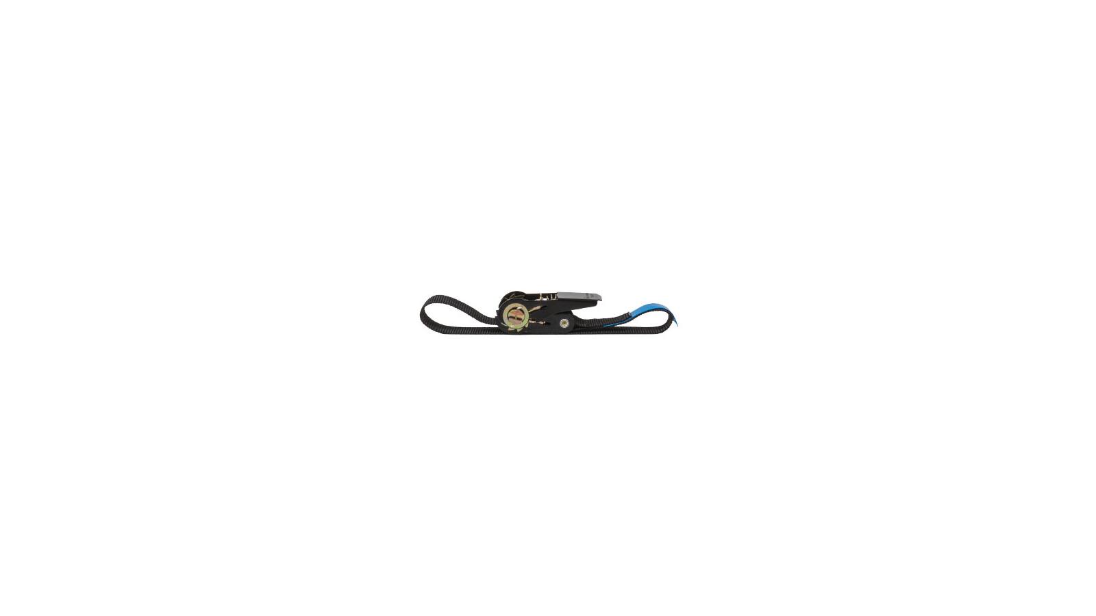 Safetex Zurrgurt mit Drucktasche, einteilig, Zugkraft 0,8 t, Breite 25 mm, Länge 8 m von SAFETEX