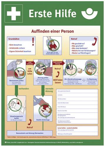 SafetyMarking 43.2914 Aushang Anleitung zur Ersten Hilfe bei Unfällen Kunststoff (B x H) 400mm x 56 von SAFETYMARKING