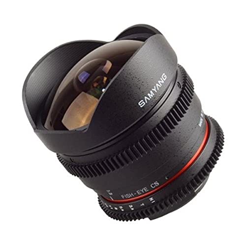 Samyang 8 MM T3.8 Fisheye-Objektiv (Nikon F-Anschluss) von SAMYANG