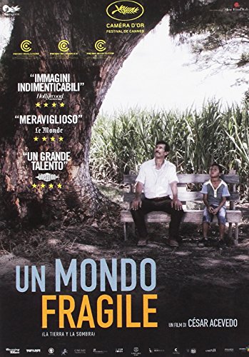 Dvd - Mondo Fragile (Un) (1 DVD) von SAN PAOLO