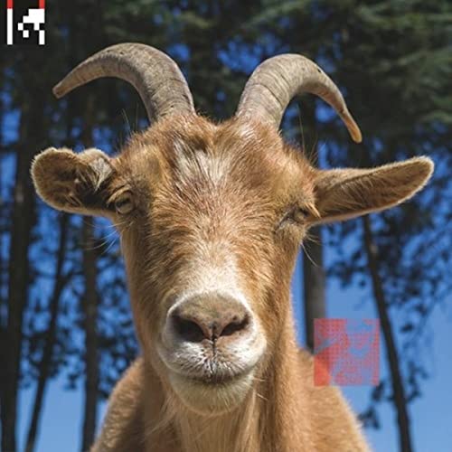 .Dev (2lp+Dl Gatefold/Red Pvc Slipcase) [Vinyl LP] von SAPIENS