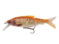 SG 3D Roach Jerkster 145 14.5cm 68g SS 06-Gold Fish PHP von SAVAGE GEAR