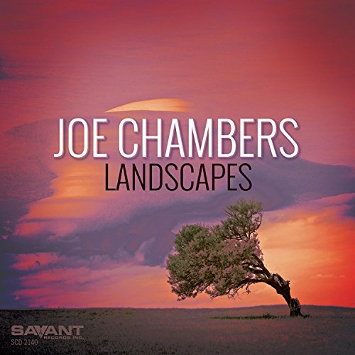 Landscapes von SAVANT
