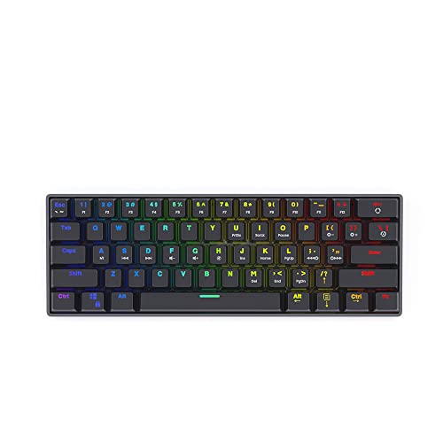 SAVIO Gaming Tastatur Mechanische “Blackout” Schwarz - 60 Prozent RGB Gaming Keyboard mit QWERTY Layout - Mechanische Gaming Tastatur Kompatibel mit Windows PC & Mac von SAVIO