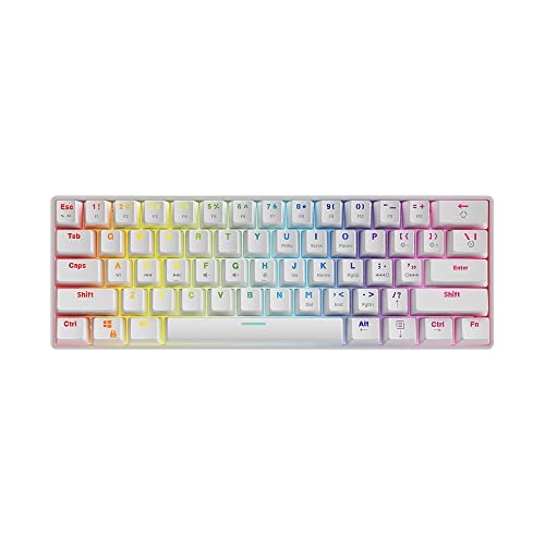 SAVIO Gaming Tastatur Mechanische “Whiteout” Weiß - 60 Prozent RGB Gaming Keyboard mit QWERTY Layout - Mechanische Gaming Tastatur Kompatibel mit Windows PC & Mac von SAVIO