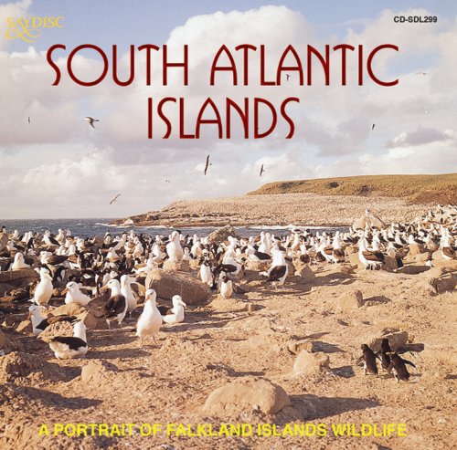 A Portrait of Falkland Islands Wi von SAYDISC