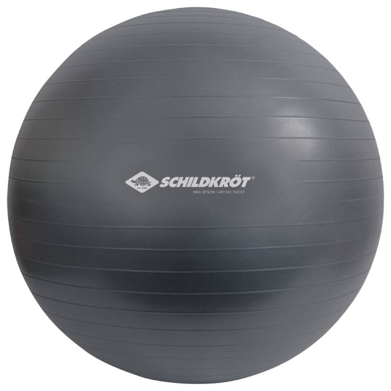 SCHILDKRÖT Gymnastikball, Durchmesser: 750 mm, anthrazit von SCHILDKRÖT